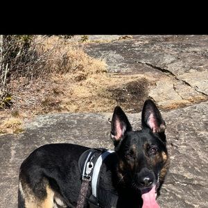 Meet your Posher, Leslie